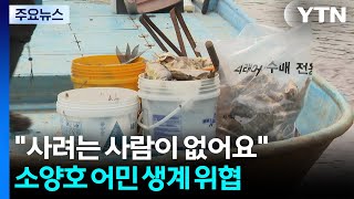 "사려는 사람이 없어요" 소양호 어민 생계 위협 / YTN