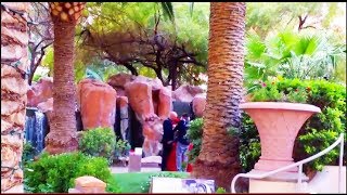 Flamingo Vegas: Habitat & Wedding Chapel