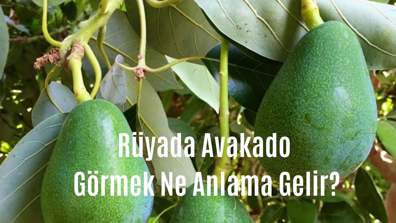 Rüyada Avokado Görmek Ne Anlamadır, Rüyada Avokado Görme