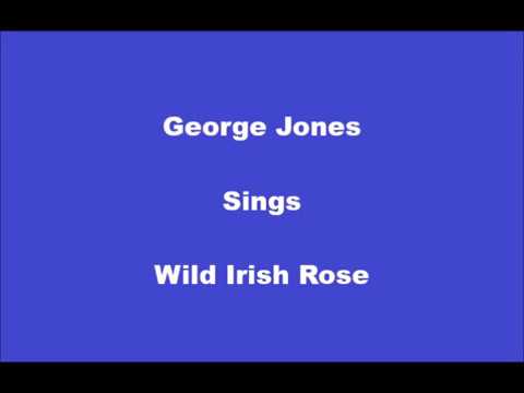 download lagu mp3 mp4 Wild Irish Rose Lyrics, download lagu Wild Irish Rose Lyrics gratis, unduh video klip Wild Irish Rose Lyrics