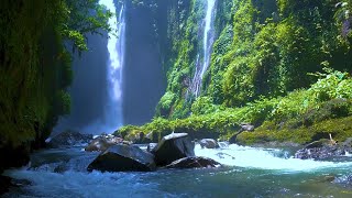 Download lagu RELAKSASI AIR TERJUN & SUARA ALAM MEMANJAKAN MATA & PIKIRAN mp3 Download lagu RELAKSASI AIR TERJUN & SUARA ALAM MEMANJAKAN MATA & PIKIRAN mp3