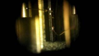 Laser Diode Under Microscope