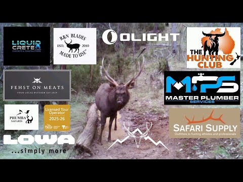 BIG Sambar stag // 300 PRC // hunting VHC // remote wilderness public land adventures 