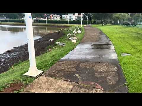 Fraiburgo Santa Catarina 