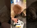 Kid Biting Cats Ear Shorts Kids Funnyshorts Tiktok Catshorts Funnykids Crazy Bite Cute