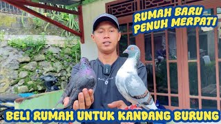 Download lagu MANTAP BELI RUMAH MAU DI ISI FULL BURUNG MERPATI mp3