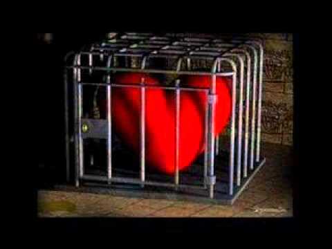 Mi Propiedad Privada - Soledad