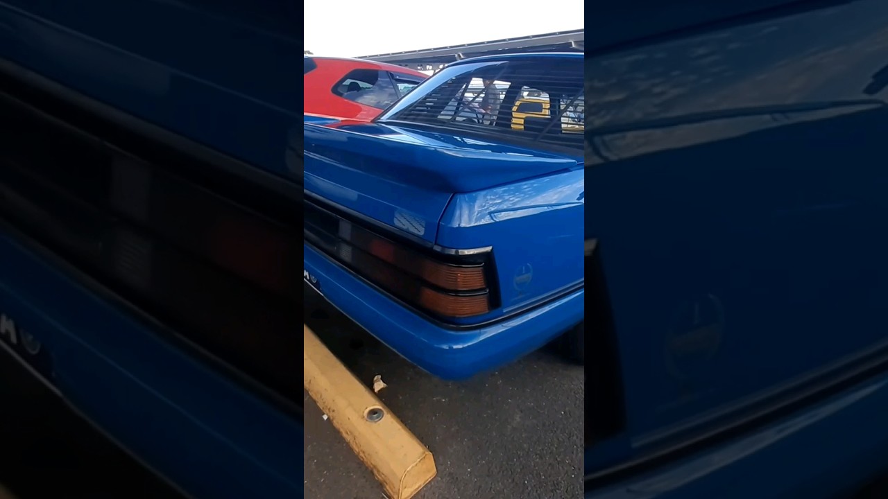 Extremely Rare Peter Brock VK Commodore!! #shorts #short #shortsvideo #shortvideo #vk #commodore