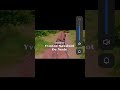 The Exploits Of Young Don Juan 1986 Full Movie