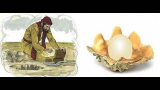 Thứ 4 Tuần 17 Thường Niên