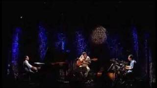 Fabio Torres Trio | Flor (Paulo Paulelli) | Instrumental SESC Brasil