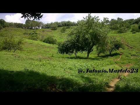 6 de Enero - Banda 19 de Marzo de Laguneta / Córdoba.