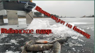 Отчеты рыбалки рыбинского водохранилища