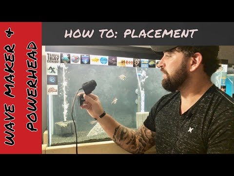 Setup aquarium wave maker, clean fish tank