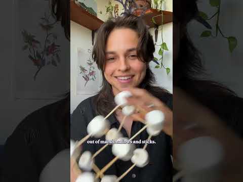 The 2025 Nobel Prize in Chemistry goes to...