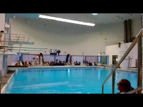open women 3m Marginalen Bank Diving Cup 2022