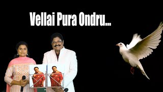 Download lagu 🕊️Vellai Pura Ondru . வெள்ளை புறா ஒன்று...Puthu Kavithai🎈 SP.SUNDAR & GAYATHRI | Deiveega Raagangal mp3 Download lagu 🕊️Vellai Pura Ondru . வெள்ளை புறா ஒன்று...Puthu Kavithai🎈 SP.SUNDAR & GAYATHRI | Deiveega Raagangal mp3