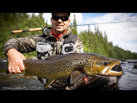 BB Custom Rods on Tour #6 - Szwedzkie pstrągi