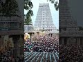 Sani Pradhosham Thiruvannamalai Sanipradhosam Thiruvanamalai Sanipradhosam LordShiva Whatsapp Status
