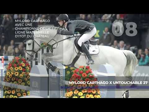 08 - MYLORD CARTHAGO x UNTOUCHABLE 27