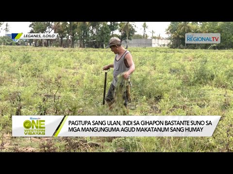 One Western Visayas: Pagtupa sang ulan, indi sa gihapon bastante suno sa mga mangunguma