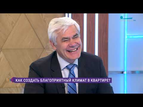 Как создать благоприятный климат в квартире