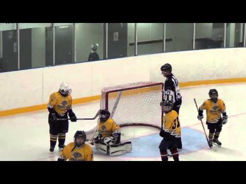 Haukat - Kolpino Hawks