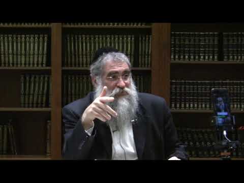 Tanya By Rabbi Yitzchok Minkowicz Sec 4 Chap. 7 “How to brighten our souls with a G-Dly light”