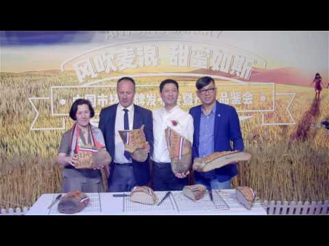 download lagu mp3 mp4 Antoines Bakery, download lagu Antoines Bakery gratis, unduh video klip Antoines Bakery