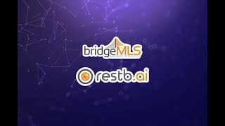 How to use RESTB.AI on Paragon Pro