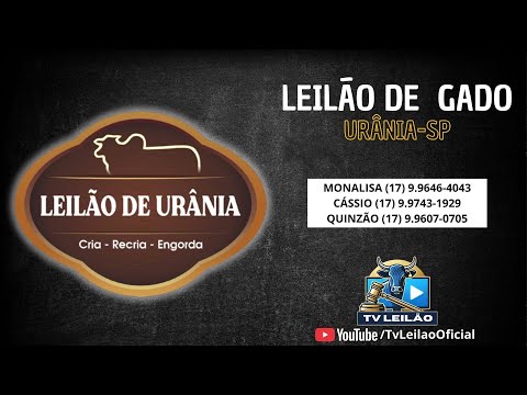 08/07/2026 - LEILÃO DE URÂNIA AO VIVO em URÂNIA/SP | LEILÃO DE GADO