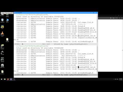 Developing R packages in Emacs Speaks Statistics