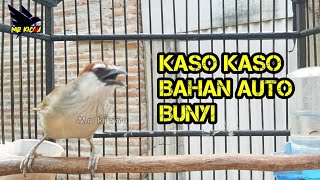Download lagu 🔴 Kaso Kaso Betina Ampuh Pancing Bunyi mp3 Download lagu 🔴 Kaso Kaso Betina Ampuh Pancing Bunyi mp3