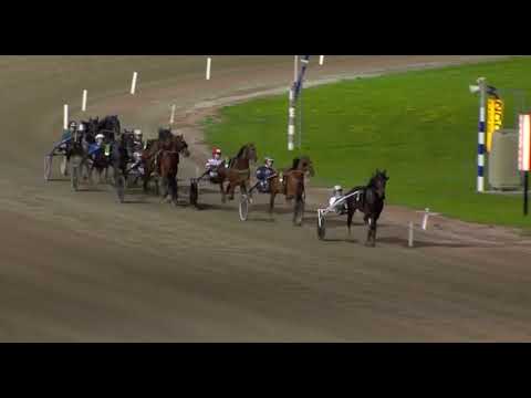Uttagningslopp 4 Svenskt Trav Derby 2023 - Barack Face