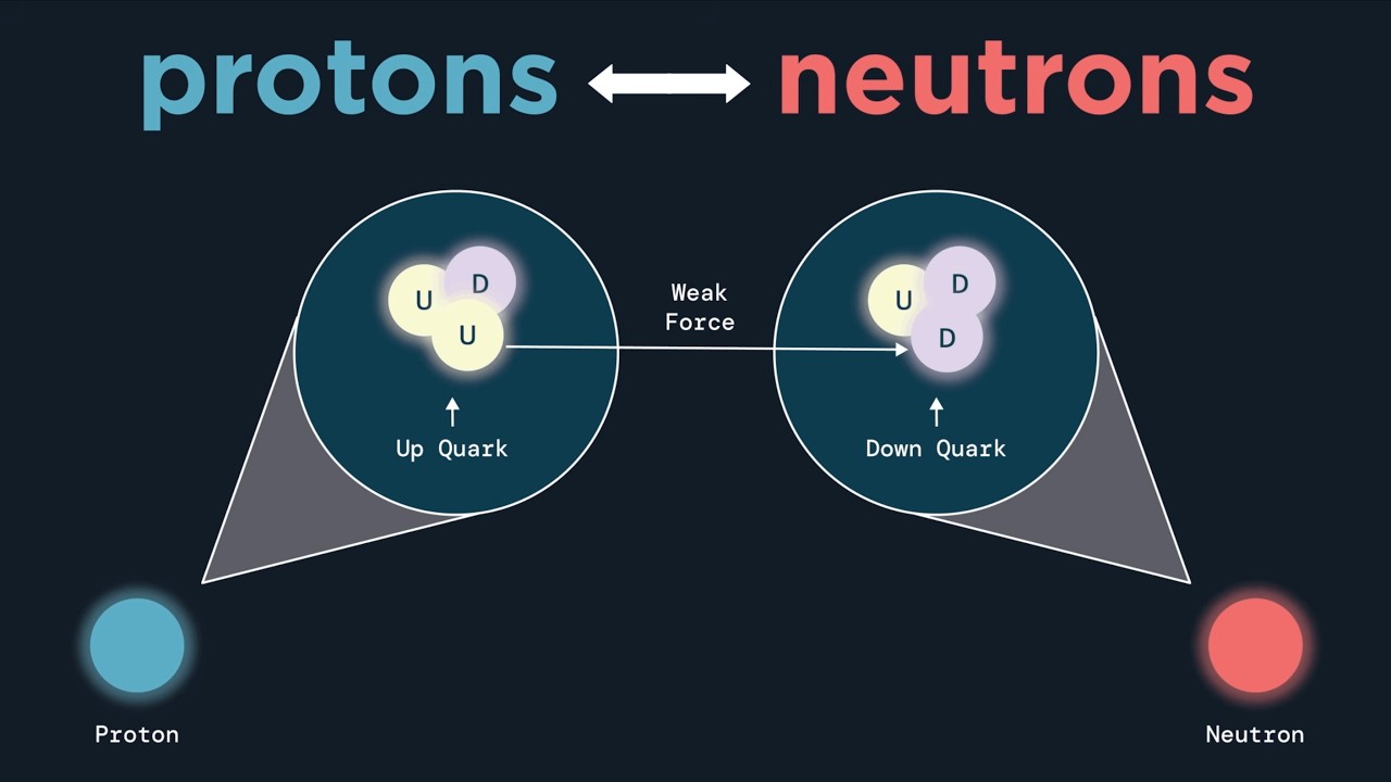 Introduction to the Weak Interaction