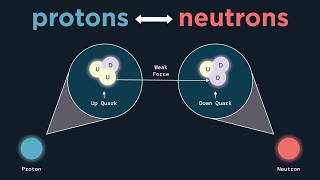 Introduction to the Weak Interaction