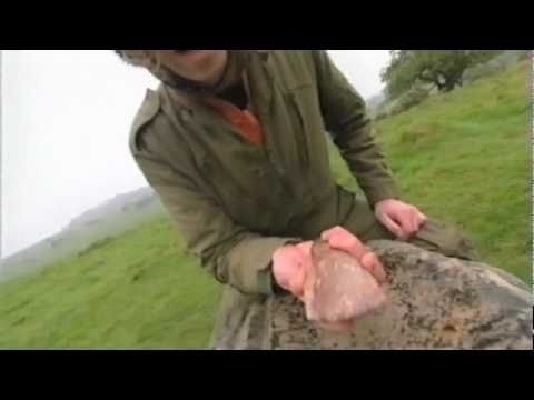 The Modern Antiquarian (TV Pilot)