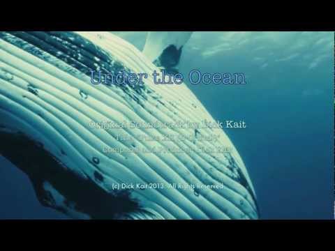 Under the Ocean (HD film) - 