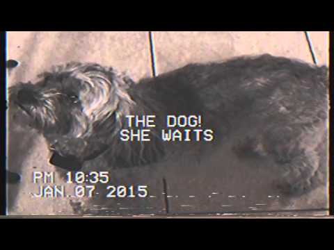 Video thumbnail for Safety In Numbers