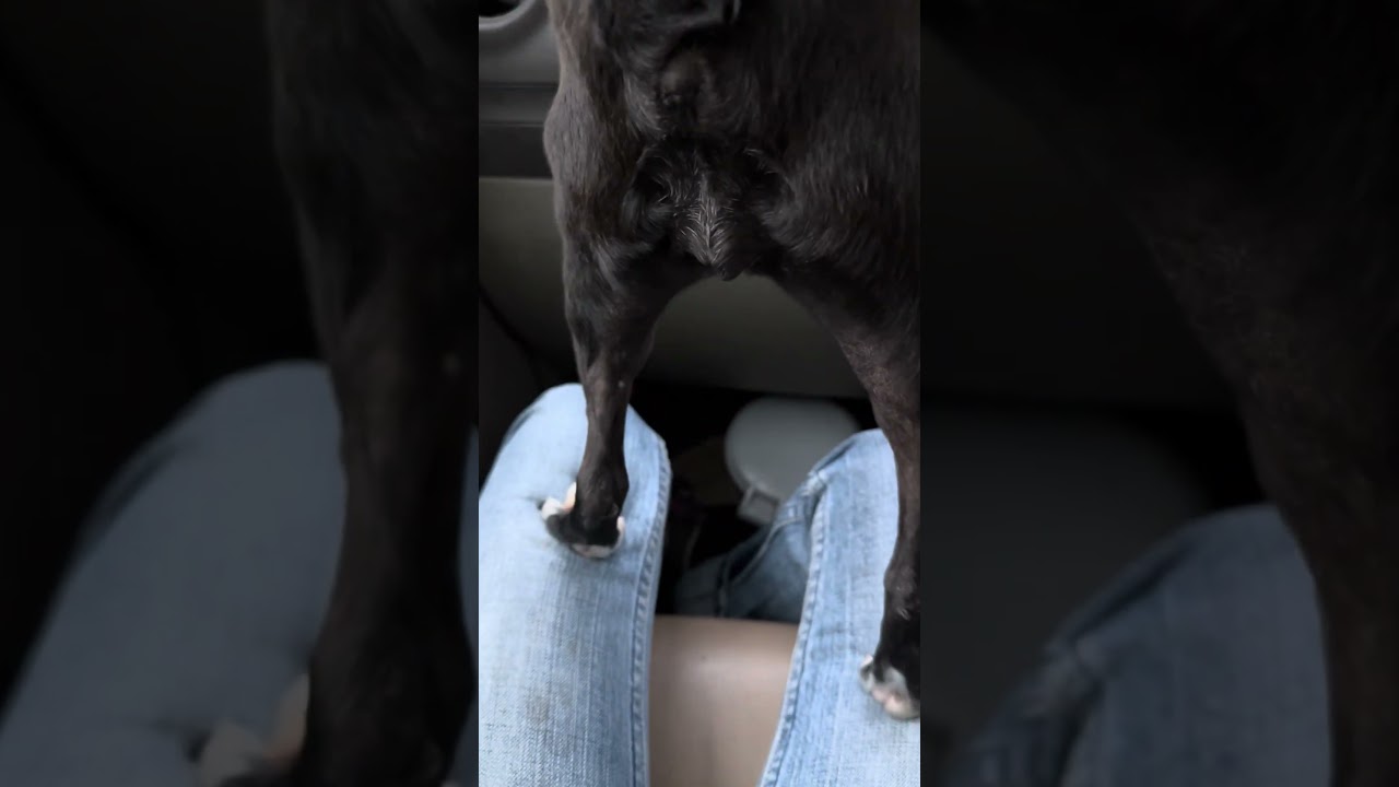 公園が近づいてくると…