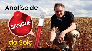 Análise da saúde do solo