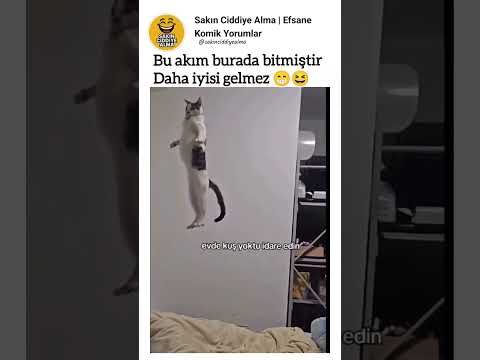 Bu akım burada bitmiştir Daha iyisi gelmez 😁😆 #komikyorumlar