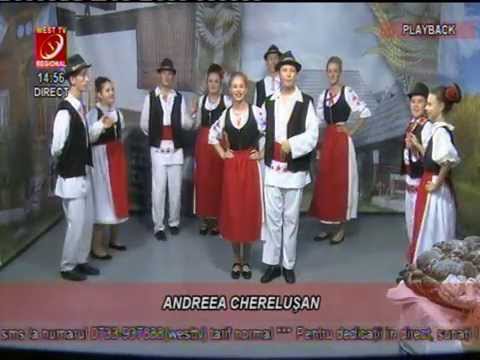 ANDREEA CHERELUSAN - ARADULE  DOR SI DOR