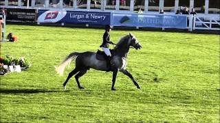 Derryinver Luxury Cruise at Balmoral 2015