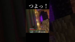 アプデメイス強すぎ！？ハンマー投げしたい【マインクラフト】#マイクラ