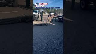 Giant Florida Gator Surprises Staff At Venice 7-eleven