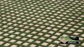 Apollo Pavers Drivable Grass