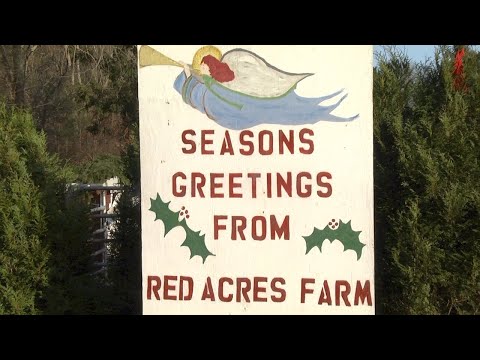 Red Acres Farm in Hanson Ma held it’s 64th Annual Red Acres Sing on Sunday, December 22nd.