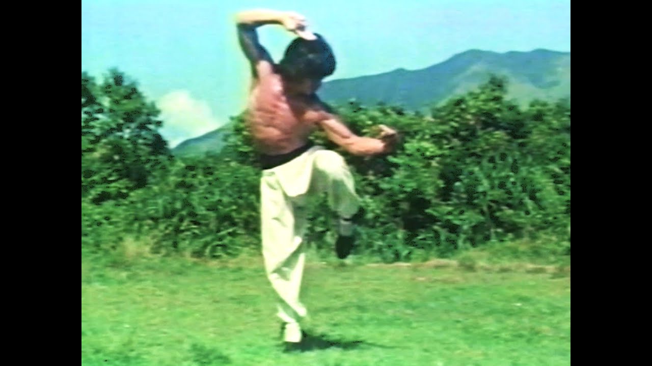 ドランクモンキー 酔拳　TV日本語吹き替え版　　ジャッキー・チェン（Jackie Chan）