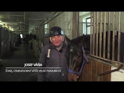 JOSEF VÁŇA - Karlovy Vary, město bez kouře